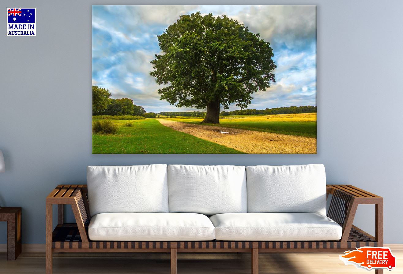 Tree on Grass Field Photograph Print 100% Australian Made