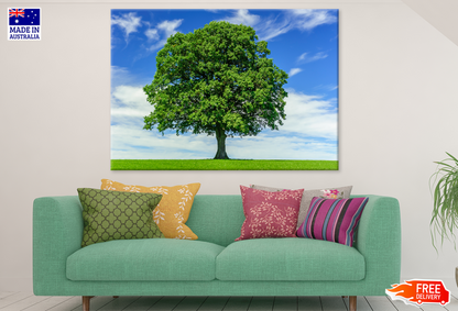 Big Treee & Blue Sky View Photograph Print 100% Australian Made