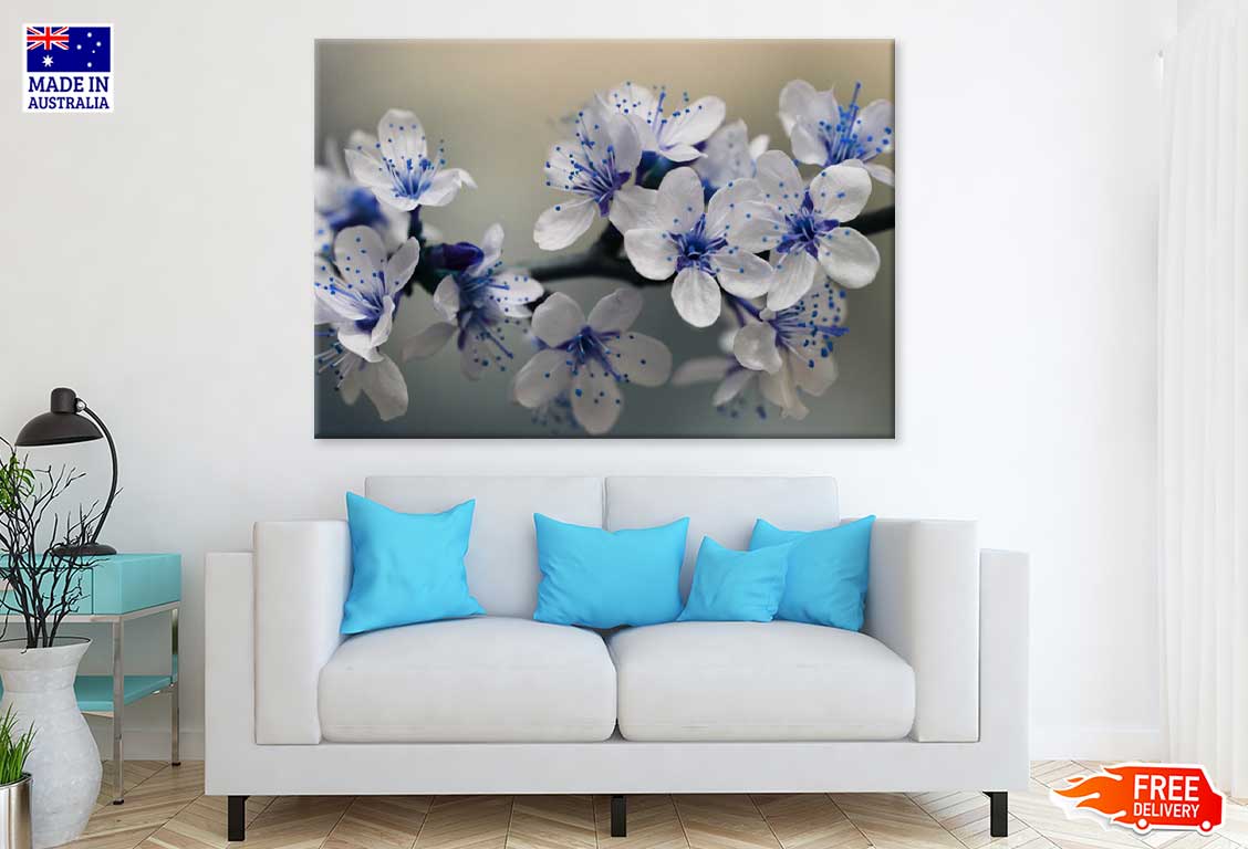 Little Blue White Flowers View Photograph Print 100% Australian Made