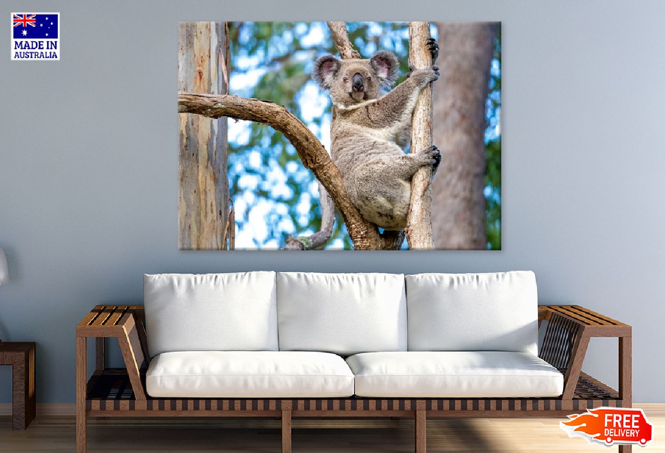 Koala Bear on Tree Branch View Photograph Print 100% Australian Made