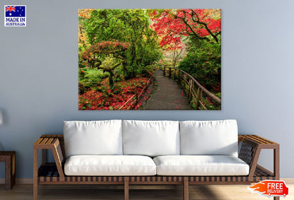 Red & Green Autumn Trees Pathway Photograph Print 100% Australian Made