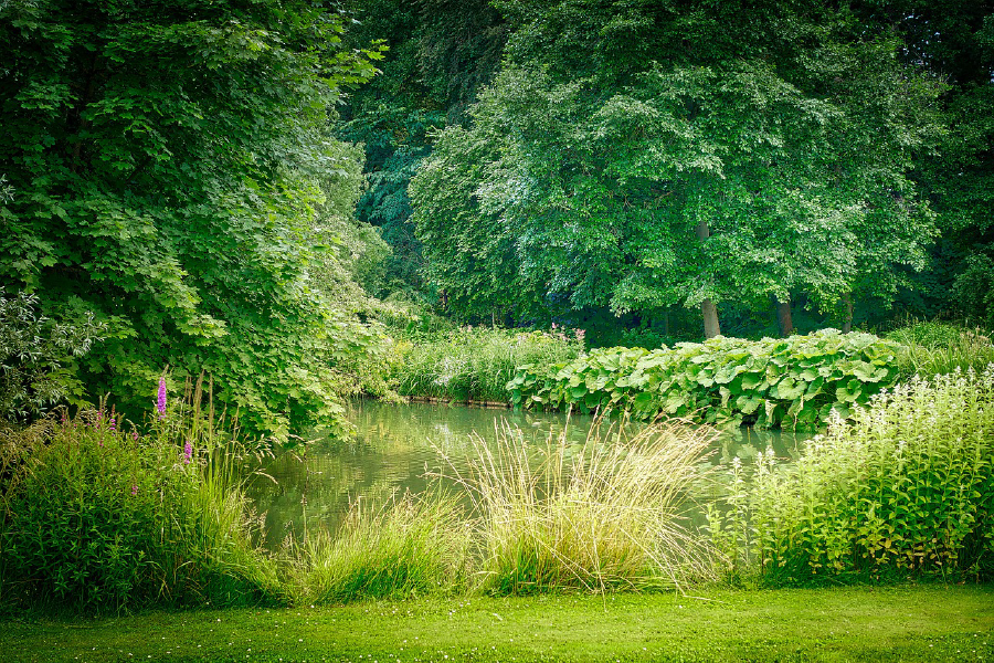 Lake with Trees & Bushes Photograph Print 100% Australian Made