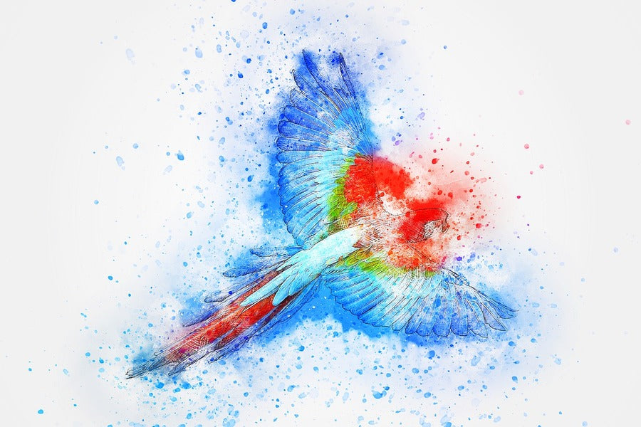 Colorful Parrot Abstract Design Print 100% Australian Made