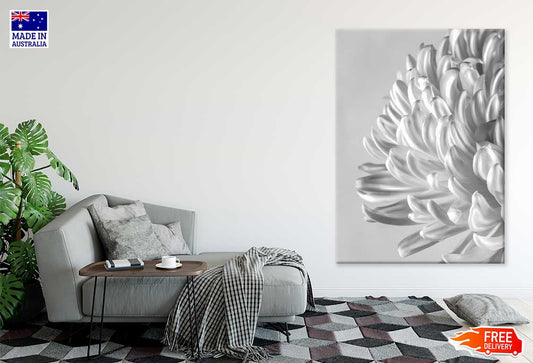 Cremone Chrysanthemum Flower Closeup B&W Photograph Print 100% Australian Made