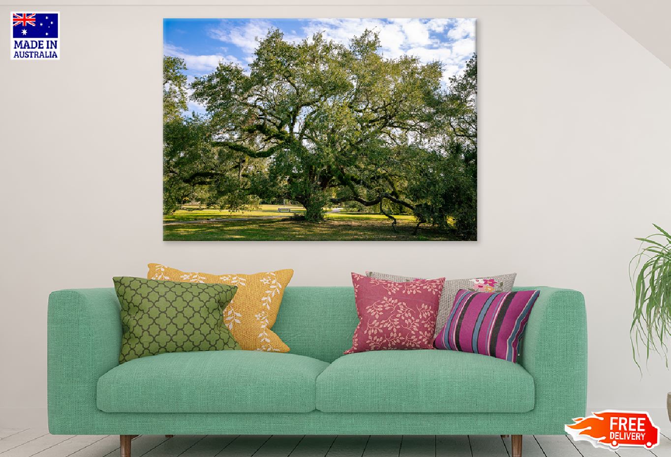 Holm Oak Tree Under Blue Sky View Photograph Print 100% Australian Made