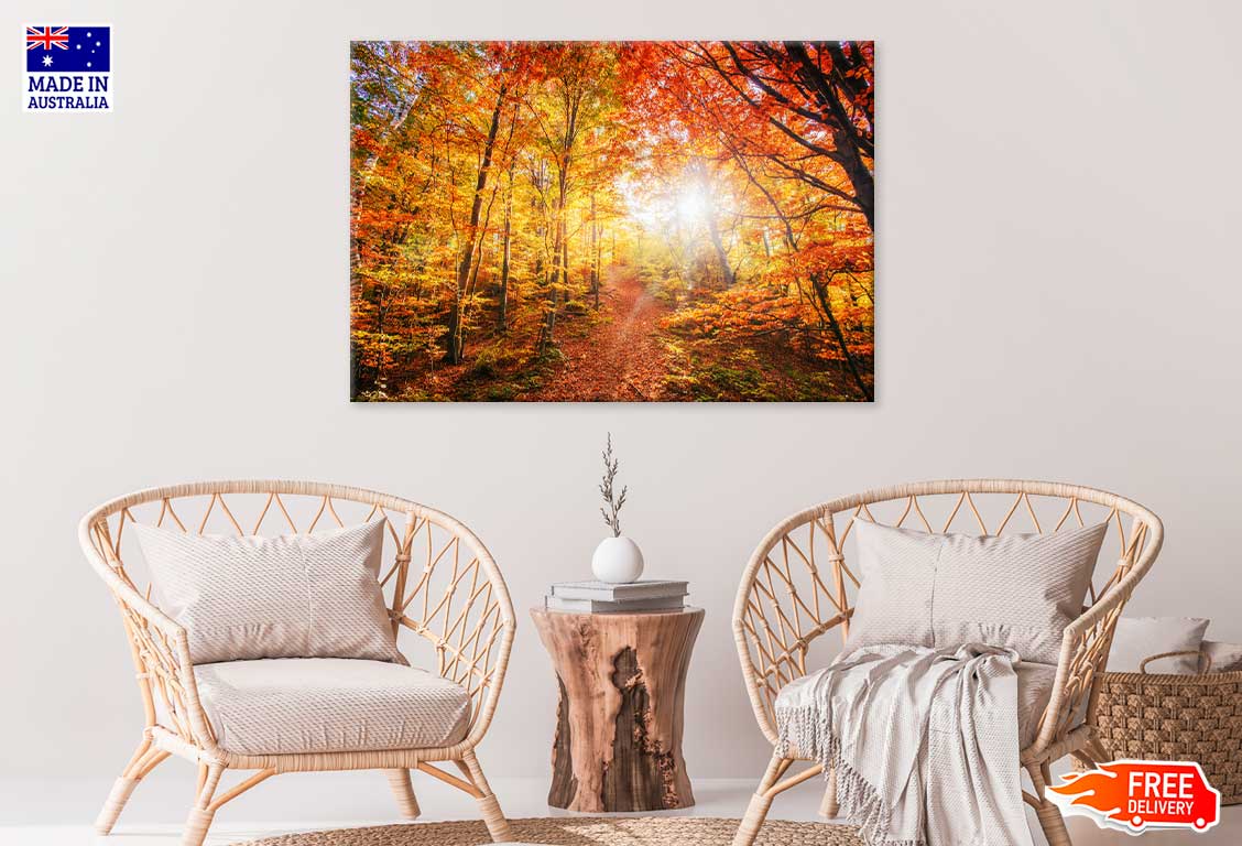 Red Yellow Autumn Tree Forest Scenery View Photograph Print 100% Australian Made