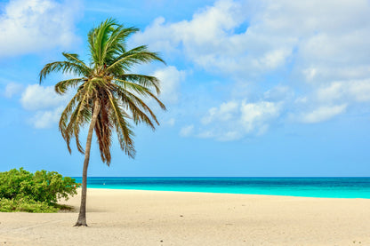 White Sand Eagle Beach View Photograph Aruba Print 100% Australian Made