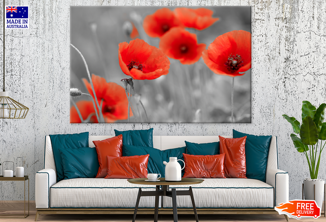 Red Poppies Flower Portrait B&W Photograph Print 100% Australian Made