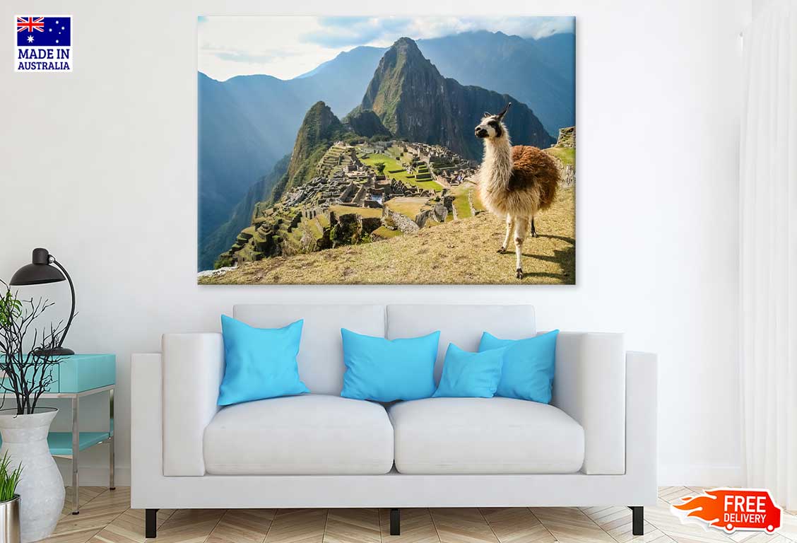 Llama in Ancient Inca Town View Photograph Print 100% Australian Made