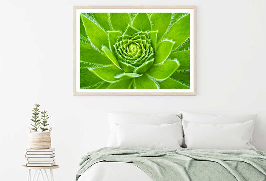 Cuvarkuca Flower Closeup View Home Decor Premium Quality Poster Print Choose Your Sizes