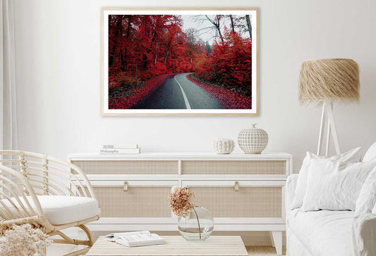 Red Autumn Trees & Road View Photograph Home Decor Premium Quality Poster Print Choose Your Sizes