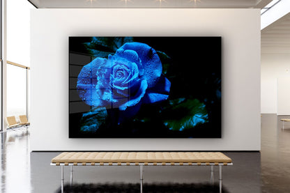 Blue Rose Waterdrops Print Tempered Glass Wall Art 100% Made in Australia Ready to Hang