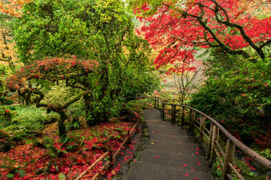 Red & Green Autumn Trees Pathway Photograph Print 100% Australian Made