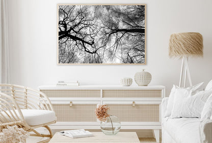 Leafless Tree Branches B&W View Home Decor Premium Quality Poster Print Choose Your Sizes