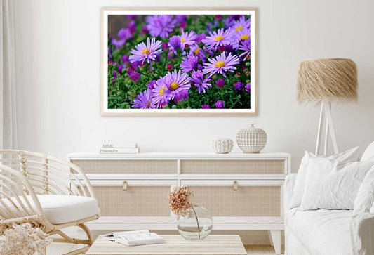 Purple Aster Flowers Field View Photograph Home Decor Premium Quality Poster Print Choose Your Sizes