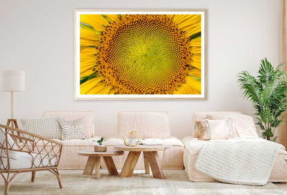 Macro Pollen of Sunflower View Photograph Home Decor Premium Quality Poster Print Choose Your Sizes