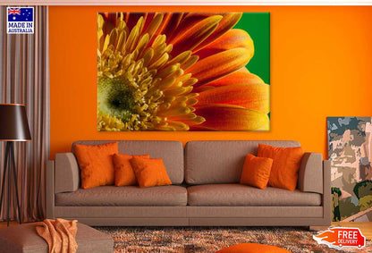 Orange Sunfower Macro Photograph Print 100% Australian Made