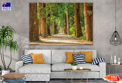 Road in Between Trees Photograph Print 100% Australian Made