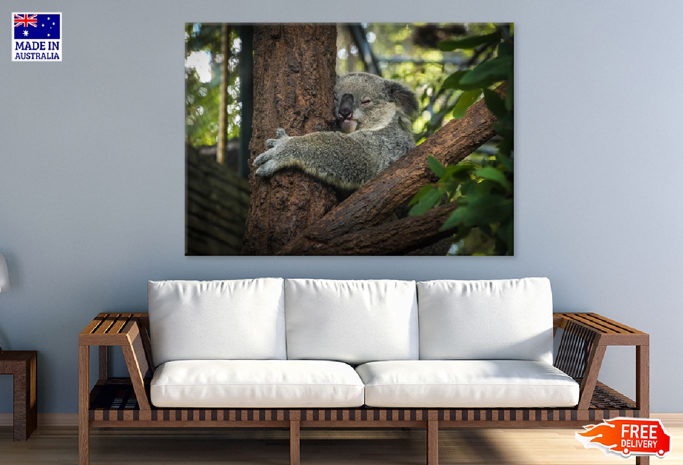 Koala Bear on Tree Photograph Print 100% Australian Made