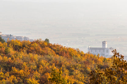 Hill with Autumn Trees & City Photograph Print 100% Australian Made