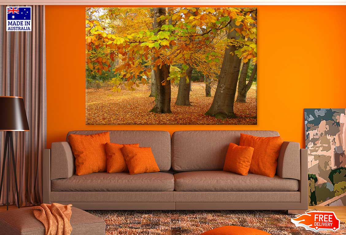 Autumn Forest & Ground Covered with Leaves Photograph Print 100% Australian Made