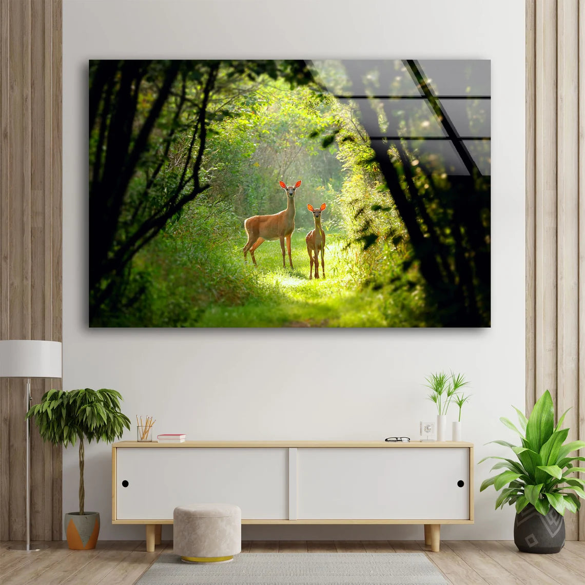 Deers in Forest Photograph Acrylic Glass Print Tempered Glass Wall Art 100% Made in Australia Ready to Hang