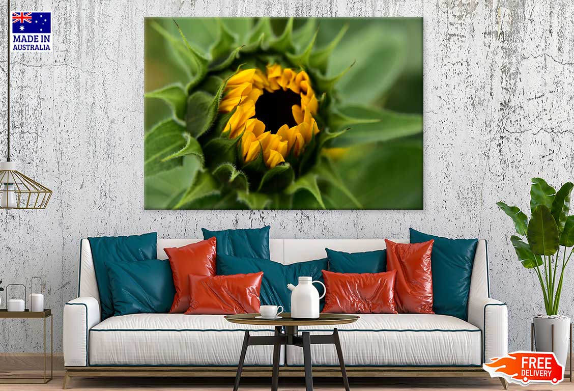 Sunflower Buds Flower Closeup Photograph Print 100% Australian Made