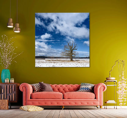 Square Canvas Leafless Tree on Snow Field View Photograph High Quality Print 100% Australian Made