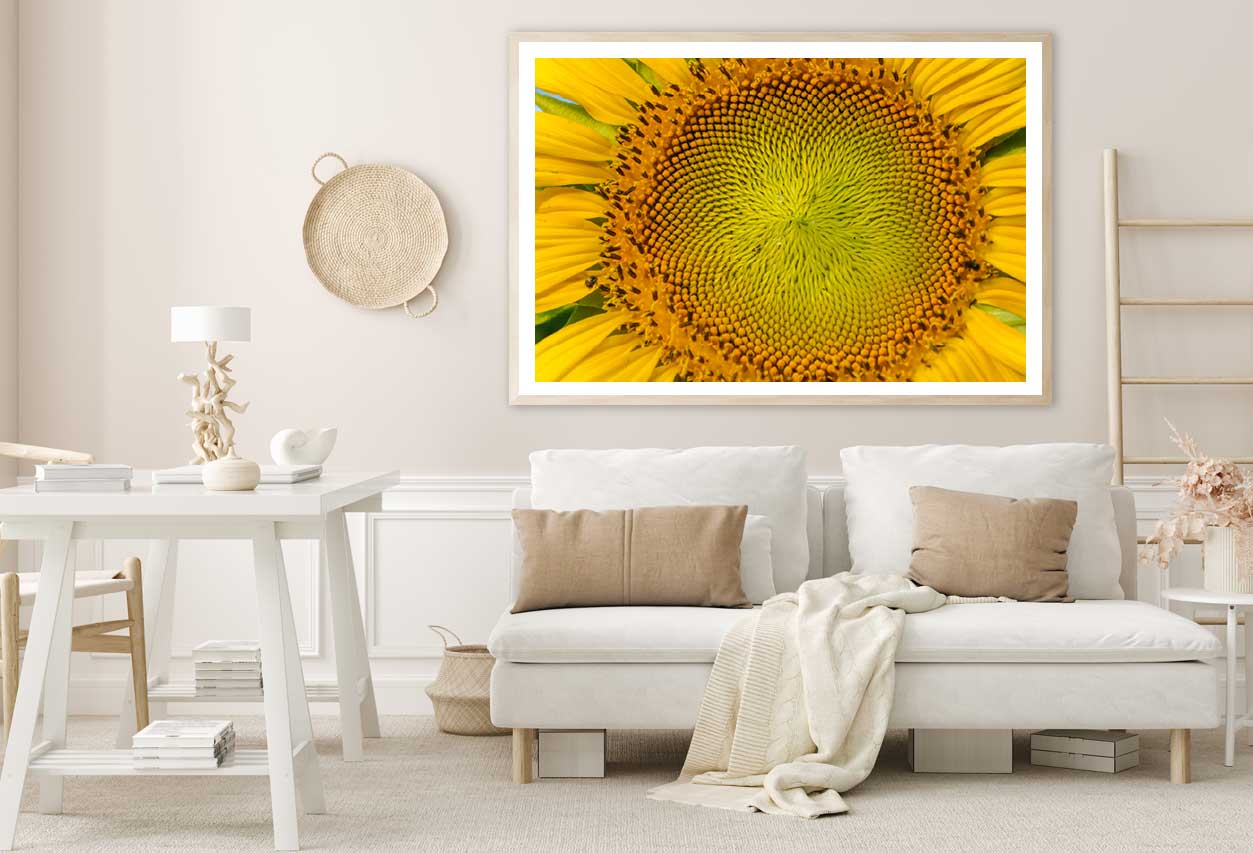 Macro Pollen of Sunflower View Photograph Home Decor Premium Quality Poster Print Choose Your Sizes