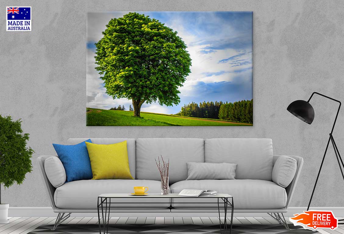 Big Green Tree on Grass Hill View Photograph Print 100% Australian Made