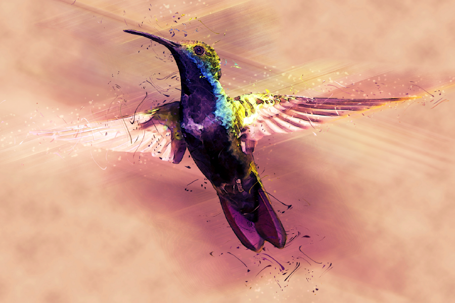 Flying Humming Bird Digital Art Print 100% Australian Made