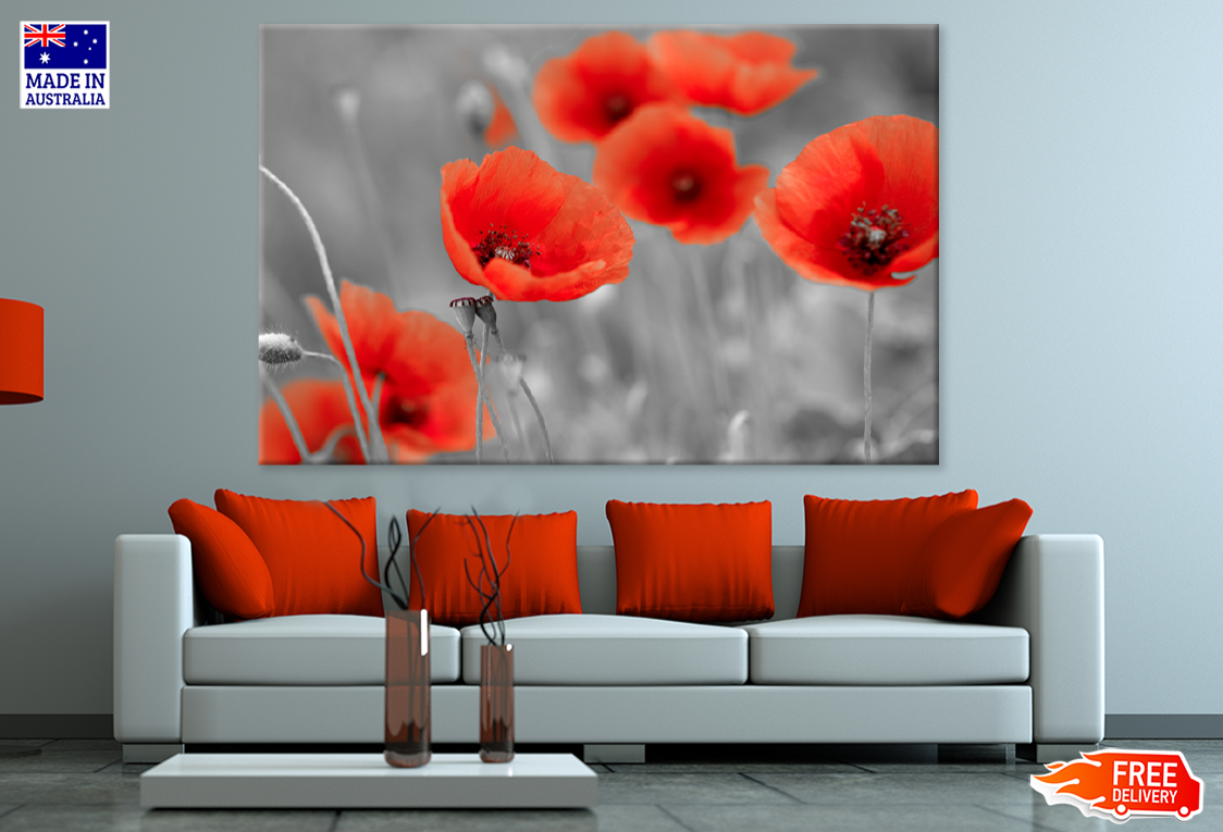 Red Poppies Flower Portrait B&W Photograph Print 100% Australian Made