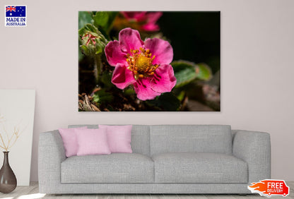 Pink Flower Surrounded By Leaves Photograph Print 100% Australian Made