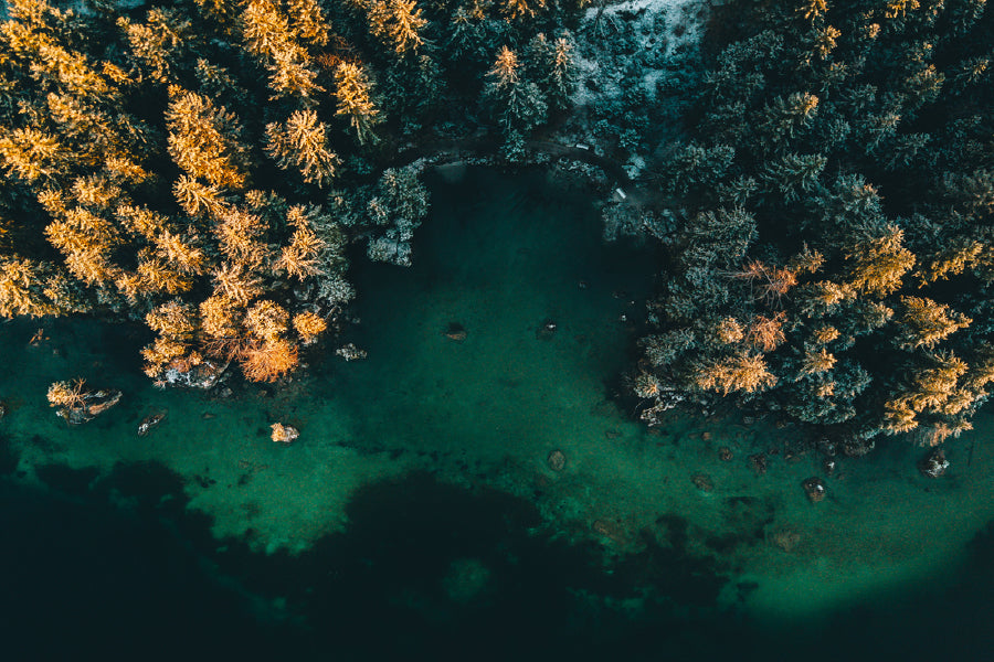 Autumn Trees & Lake Aerial View Photograph Print 100% Australian Made