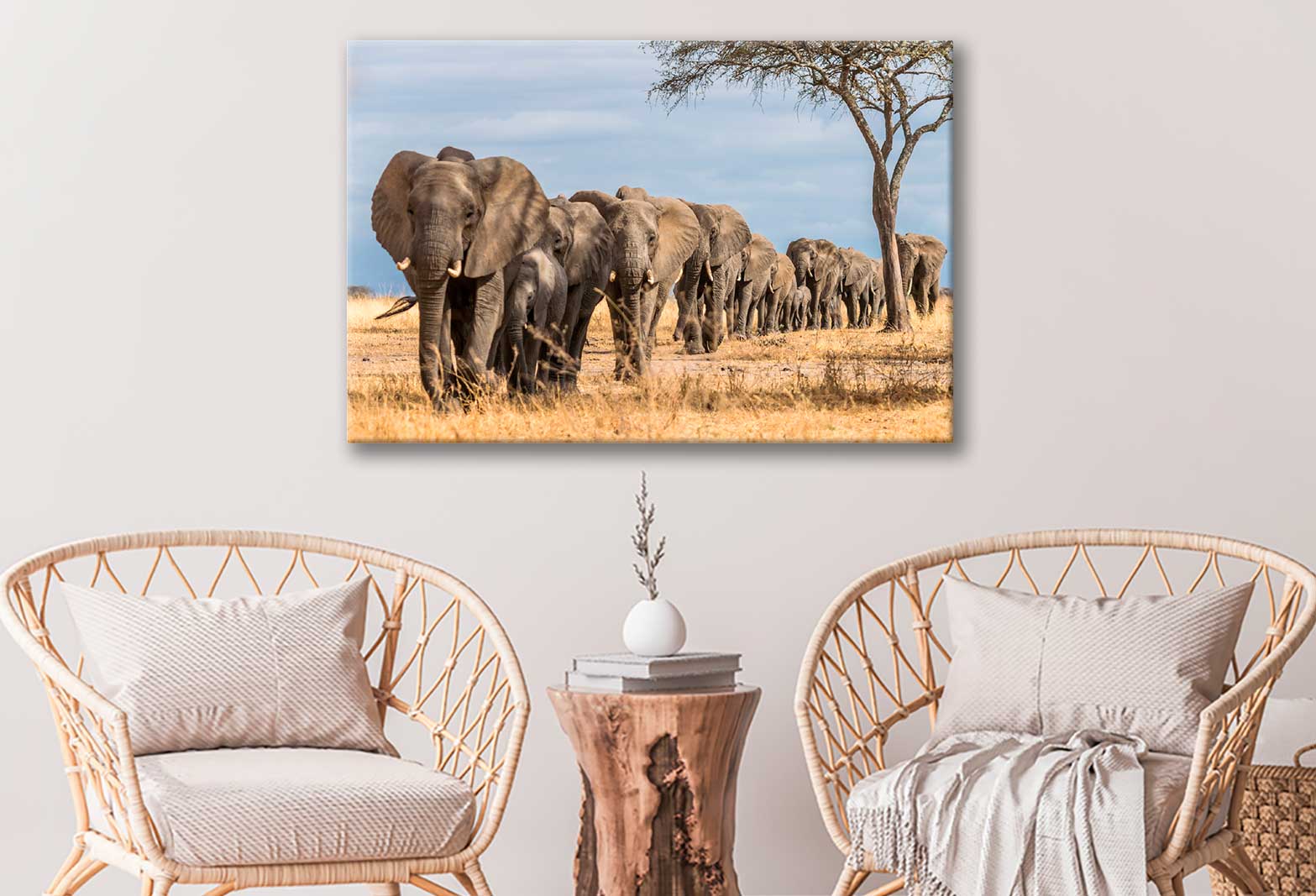 Bella Home Elephants Tree Walking & Tree View Print Canvas Ready to hang