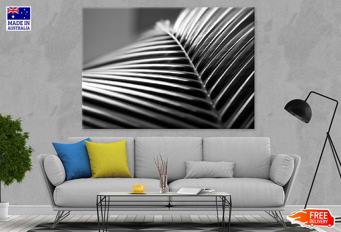 Closeup Palm Leaf B&W Photograph Print 100% Australian Made