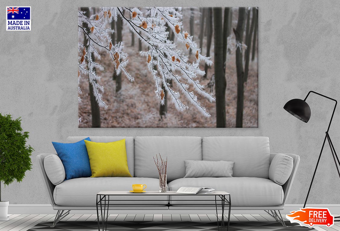 Snow Covered Tree Branch Closeup Photograph Print 100% Australian Made