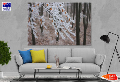 Snow Covered Tree Branch Closeup Photograph Print 100% Australian Made