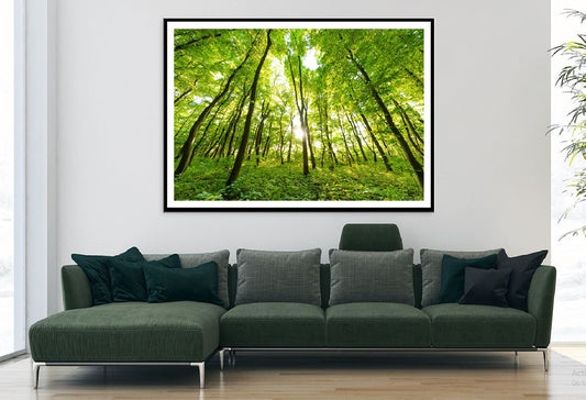 Green Spring Forest Trees View Photograph Home Decor Premium Quality Poster Print Choose Your Sizes