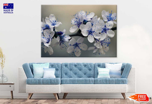 Little Blue White Flowers View Photograph Print 100% Australian Made