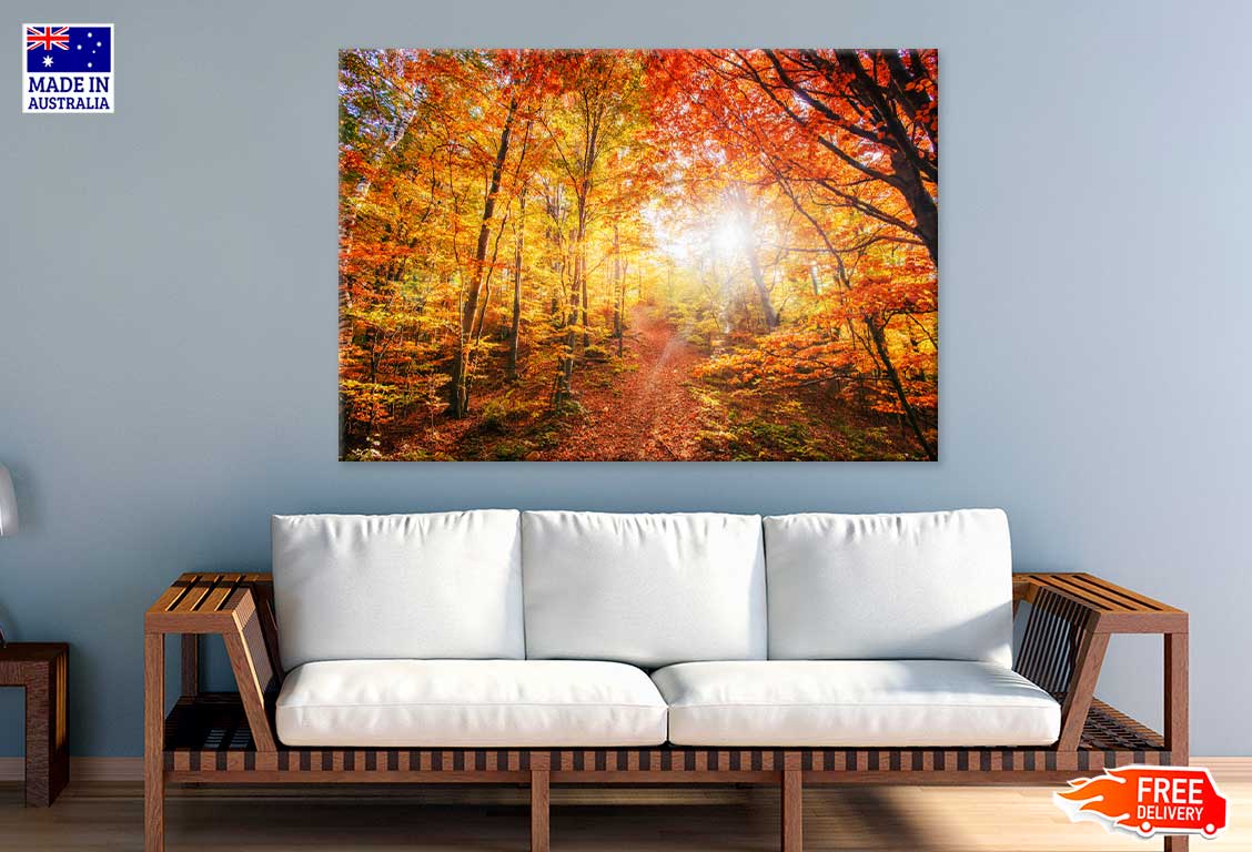 Red Yellow Autumn Tree Forest Scenery View Photograph Print 100% Australian Made