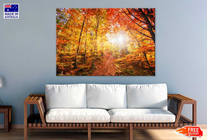 Red Yellow Autumn Tree Forest Scenery View Photograph Print 100% Australian Made