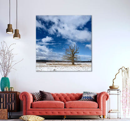 Square Canvas Leafless Tree on Snow Field View Photograph High Quality Print 100% Australian Made