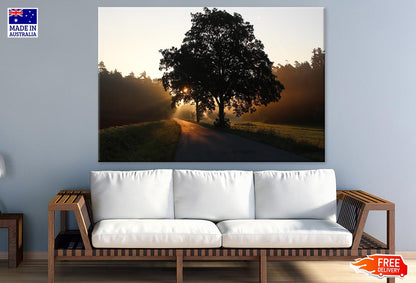 Trees Near Road Photograph Print 100% Australian Made