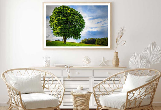 Big Green Tree on Grass Hill View Photograph Home Decor Premium Quality Poster Print Choose Your Sizes