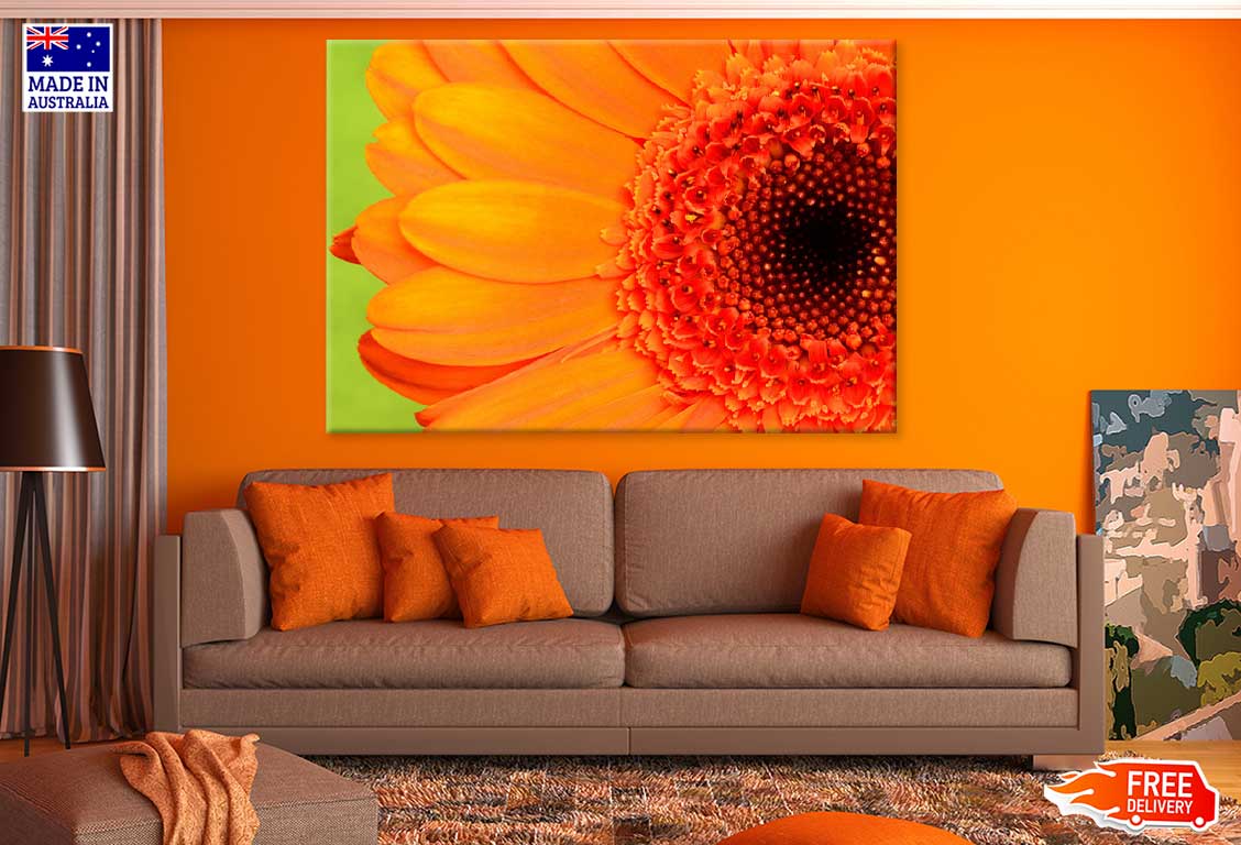 Orange Gerbera Closeup Macro View Photograph Print 100% Australian Made