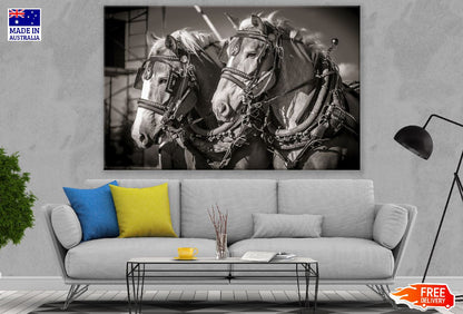 Two Horses Closeup B&W Photograph Print 100% Australian Made