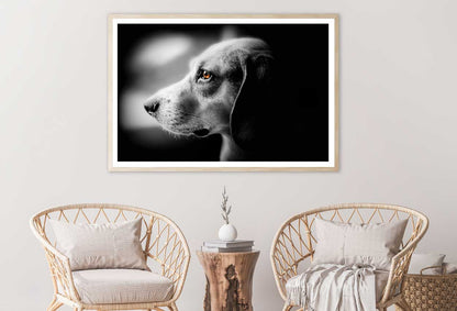 Orange Eye Dog B&W View Photograph Home Decor Premium Quality Poster Print Choose Your Sizes