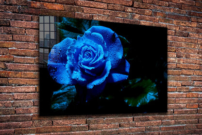 Blue Rose Waterdrops Print Tempered Glass Wall Art 100% Made in Australia Ready to Hang