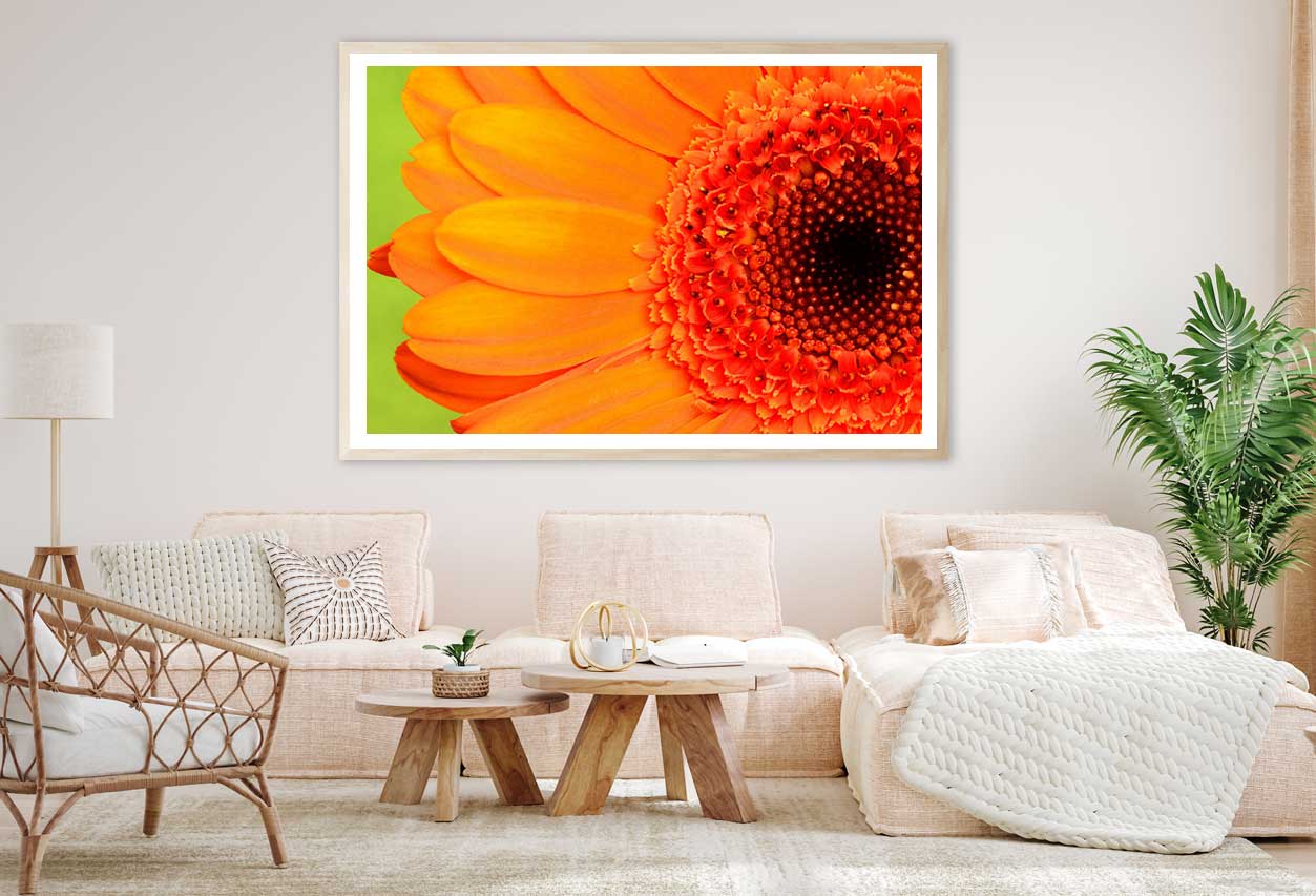 Orange Gerbera Closeup Macro View Photograph Home Decor Premium Quality Poster Print Choose Your Sizes